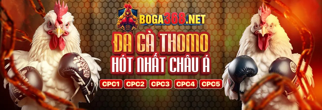 Các tính năng cá cược đa dạng trên Win365 App